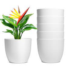 self watering plastic plant pots