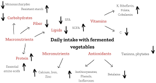fermentation on the nutritional quality