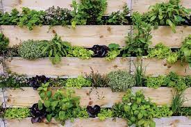 Vertical Gardening 101 How To Use