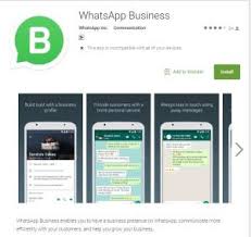 whatsapp business what will this app