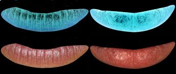 what your lips might say about you