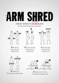 arm shred workout