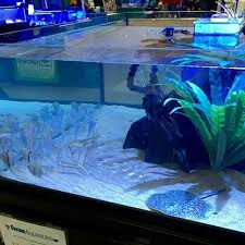 Custom Fish Tanks, Configure Yours Today! - Custom Aquariums gambar png