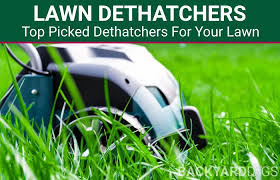 The wider the lawn dethatcher is, the more tines it will have. Best Lawn Dethatchers To Buy In 2021 Backyarddigs