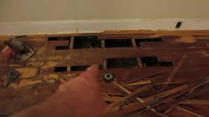 termites a hardwood floor disaster