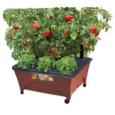 raised garden bed grow box
