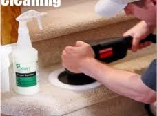 kiwi carpet cleaning services plano