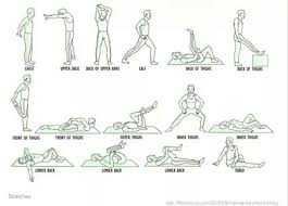 Full Body Stretch Routine Full Body Stretching Routine