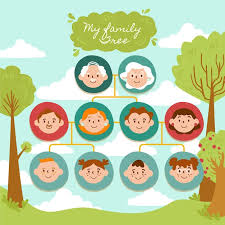 free vector hand drawn family tree chart