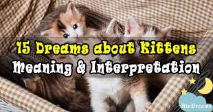 Kittens, seen in a dream, predict minor troubles and tribulations. 8 Dreams About Rejection Meaning Interpretation