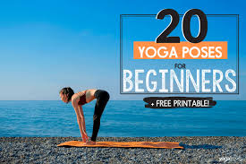 20 yoga poses for complete beginners