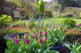 how to prepare your garden for spring