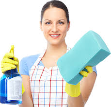 cleaning service frequencies for home