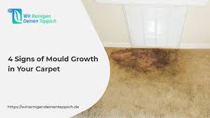 mould growth in your carpet
