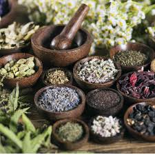 How do you become an herbalist or even a registered herbalist? Botanicals Resilient Birth Botanicals