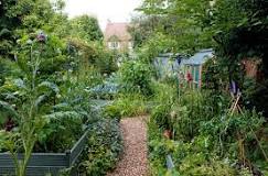 How can I grow organic vegetables at home?