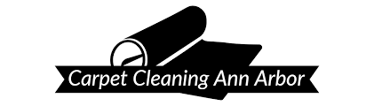 carpet cleaning carpet cleaning ann arbor