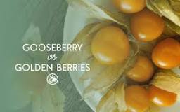 Are golden berries the same as gooseberries?