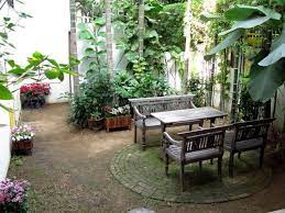 Asian Garden Backyard Plants Outdoor