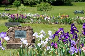 iris gardens at presby memorial