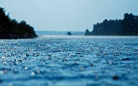 hd wallpaper rain water drops free
