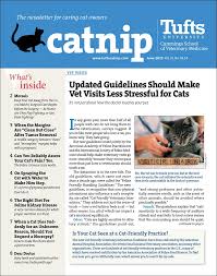 catnip newsletter subscription