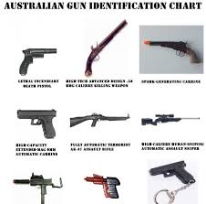Homemade Defense Australian Gun Identification Chart