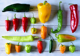 12 types of hot peppers guide to