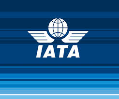 The Organizational Structure Of Iata