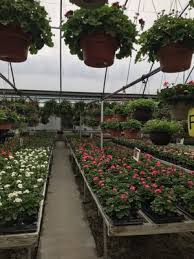 Check spelling or type a new query. Garden Gate Greenhouse 3415 E 500 S Peru In Nurseries Mapquest