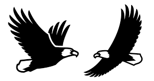 eagle drawings simple to draw eagle
