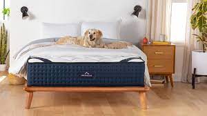 the best mattress in a box 2024 ranked