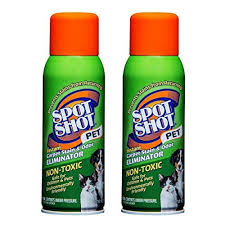 spot shot pet instant carpet stain