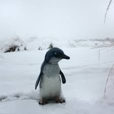 Baby Penguin Statue Jardinchic