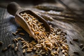 farro nutrition facts and health benefits