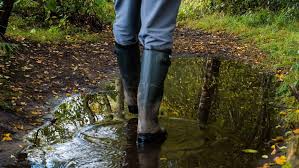 best wellies for men all budgets