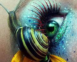 makeup eye snail art hd wallpaper