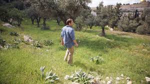 the garden of gethsemane drive thru