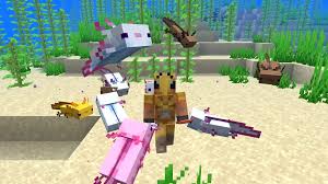 How to breed minecraft axolotls. Minecraft Axolotls Guide Snapshot 20w51a Update The Helpful Gamer