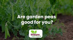 are garden peas good for you