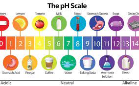 ph what you need to know treat my water