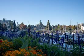 things to do in victoria bc