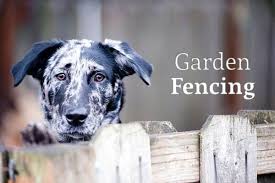 Garden Fencing To Keep Animals