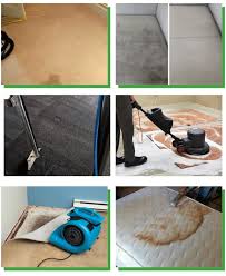 auckland carpet cleaning cleaning