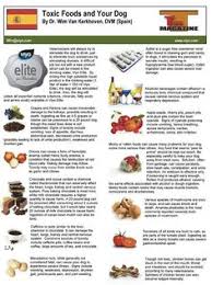 Toxic Foods For Dogs Chart Goldenacresdogs Com