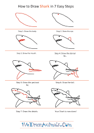 how to draw a realistic shark