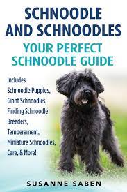 We offer f1b schnoodles in a variety of colors, from solid to parti to rare and stunning merle! Schnoodle And Schnoodles Your Perfect Schnoodle Guide Includes Schnoodle Puppies Giant Schnoodles Finding Schnoodle Breeders Temperament Miniature Schnoodles Care More Saben Susanne 9781911355120 Amazon Com Books