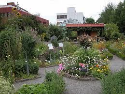 A small sensation took place in the night from 23 to 24 june. Botanischer Garten In Wurzburg Bayern Online De