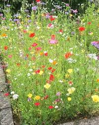 worthing ferring a wyevale garden