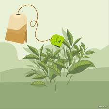 tea leaf vector in ilrator svg